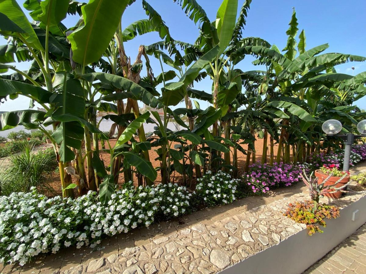 B&B Fellini Gallipoli Bagian luar foto